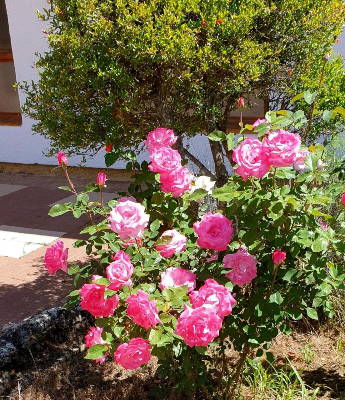 Las Arboledas Alojamiento Rural บาเอซา ภายนอก รูปภาพ